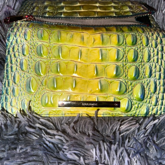 Brahmin Large Finley Satchel/Shoulder Bag Zesty Green Ombre Melbourne& wallet - Picture 4 of 14